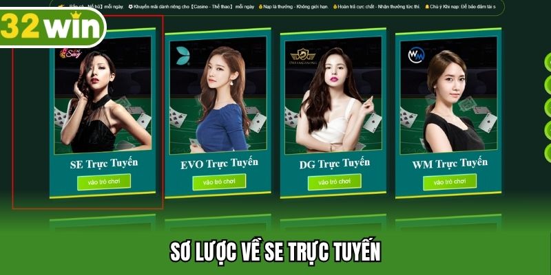 Sơ lược về SE trực tuyến