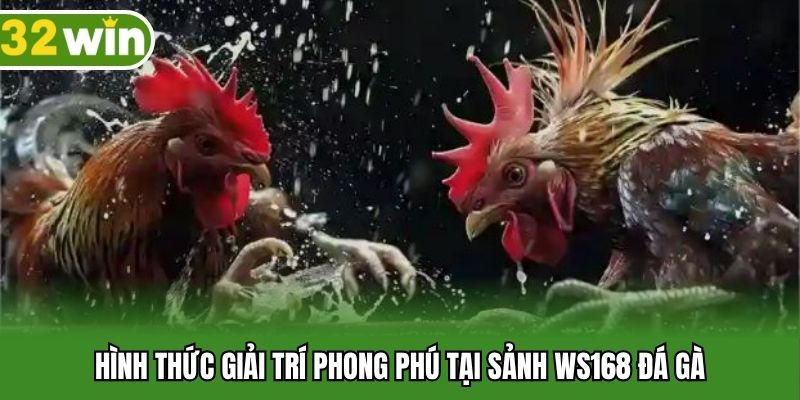 Hình thức giải trí phong phú tại sảnh WS168 đá gà